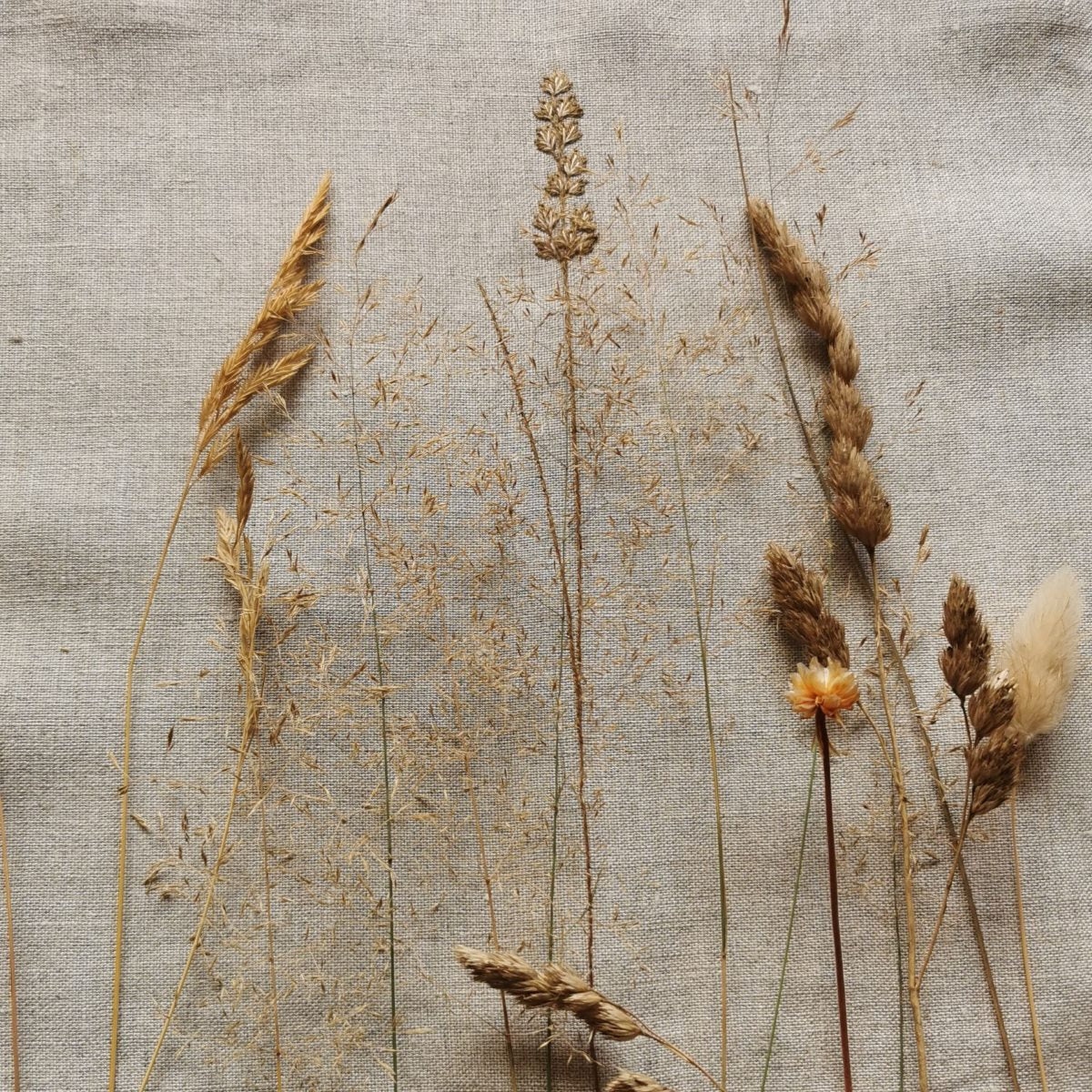Linen Handmade Embroidery Collection